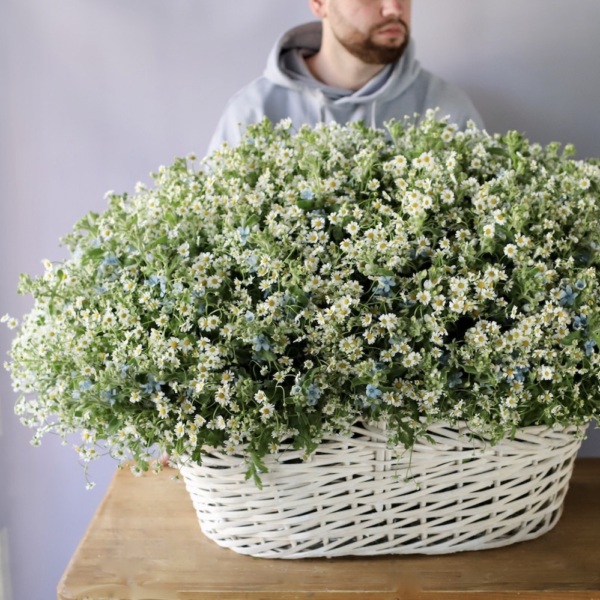 Daisies and oxypetalum in a basket Daisies and oxypetalum in a basket - Размер 2XL