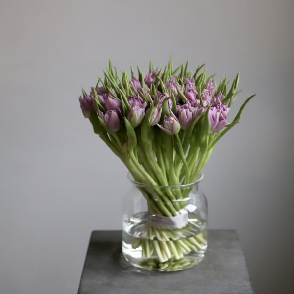 Tulips in a vase - 49 тюльпанов