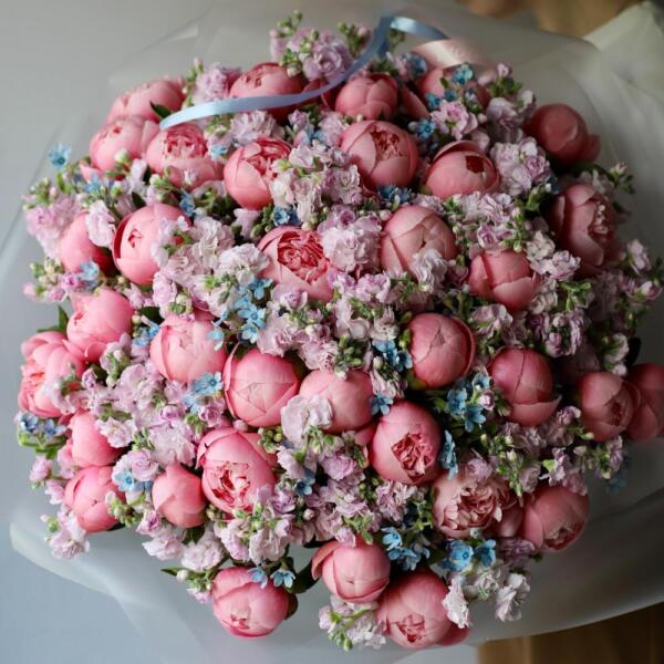 Peonies with Stock and Oxypetalum - Размер XL 