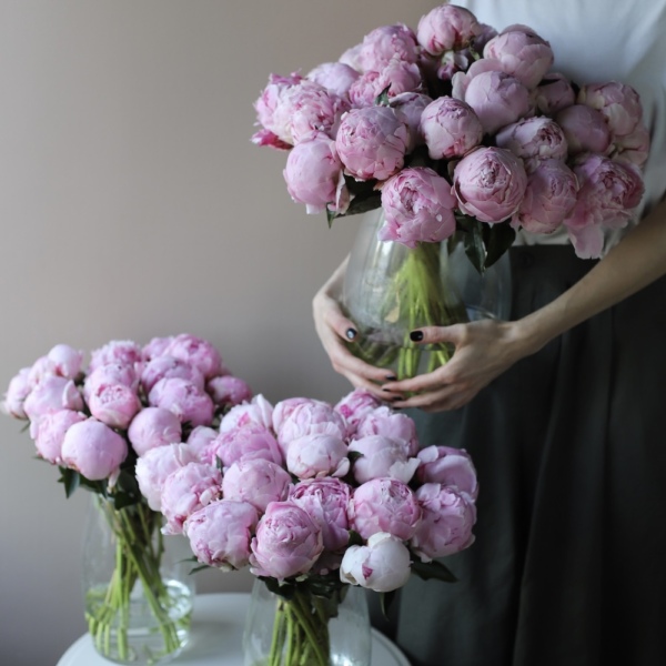 Pink Peonies in a vase