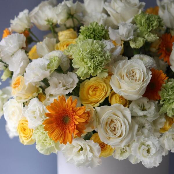 Sunny signature hat box - Размер 2XL