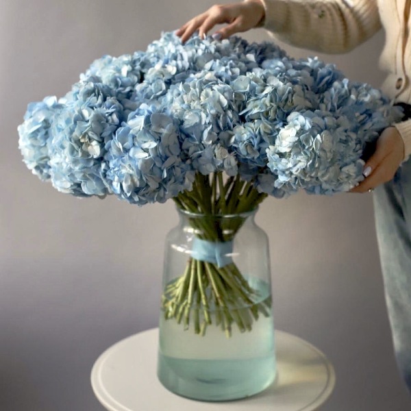 Colombian Hydrangeas in a vase - 19 гортензий (ваза может отличаться)