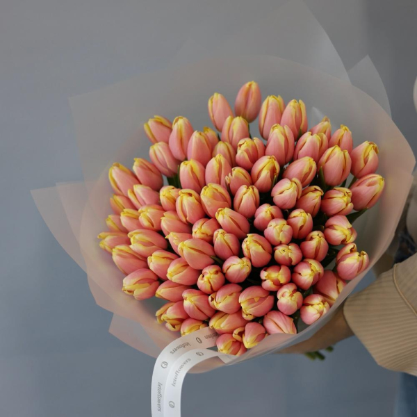 Orange Tulips - 75 тюльпанов