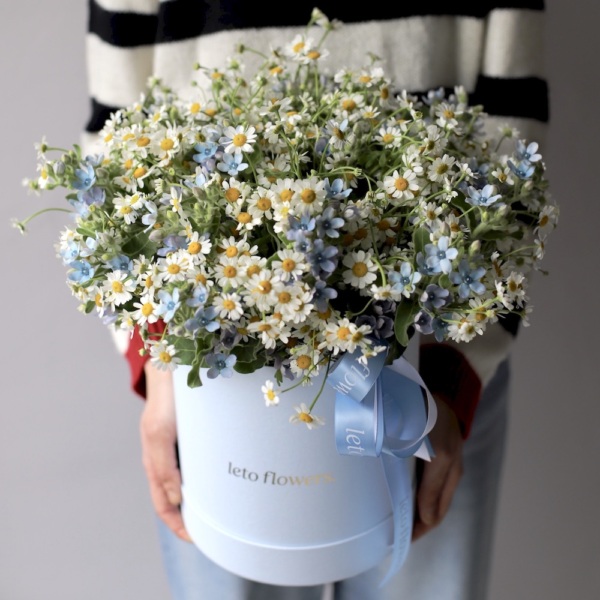 Daisies with Oxypetalum in a hat box - Размер M 