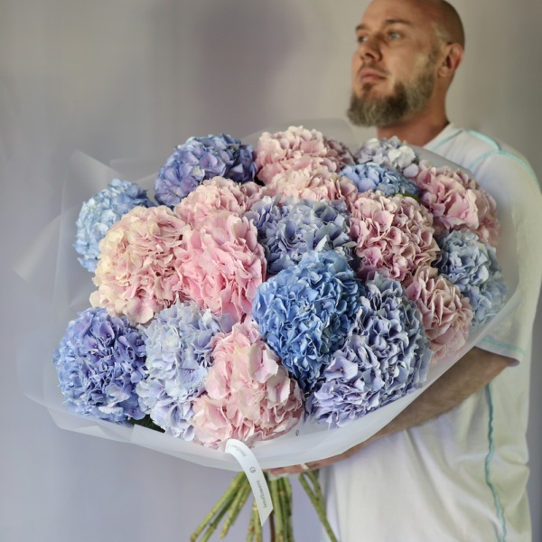 Mixed color Hydrangeas - 19 гортензий