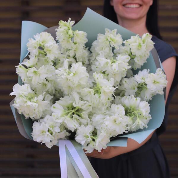 White Delphinium - 15 дельфиниумов