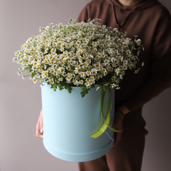 Chamomile in a hat box - Размер XL