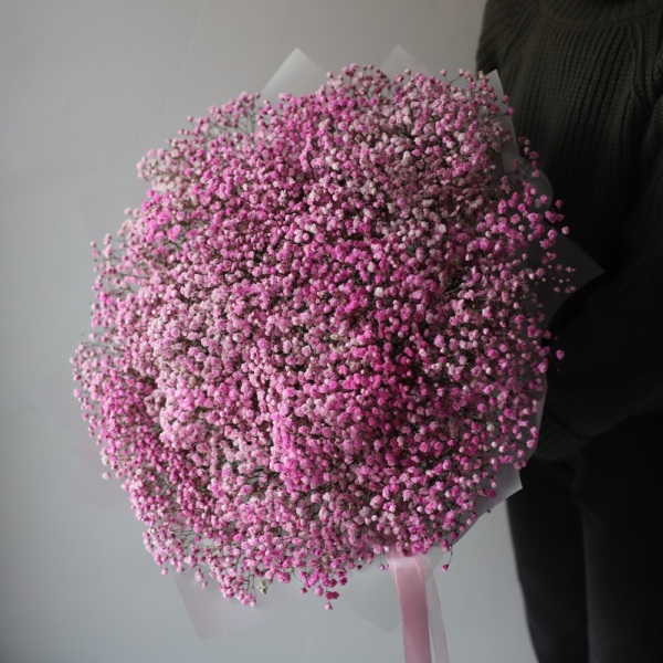 Pink Baby's Breath - 25 гипсофил