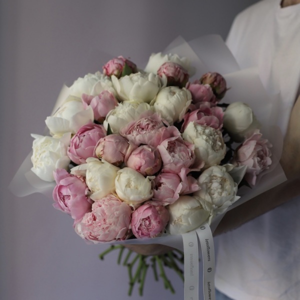 Mixed color Peony - 29 пионов