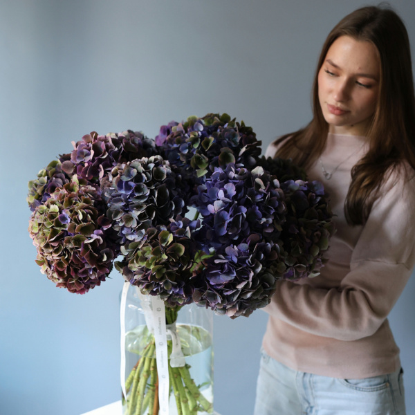 Hydrangeas in a vase - 15 гортензий