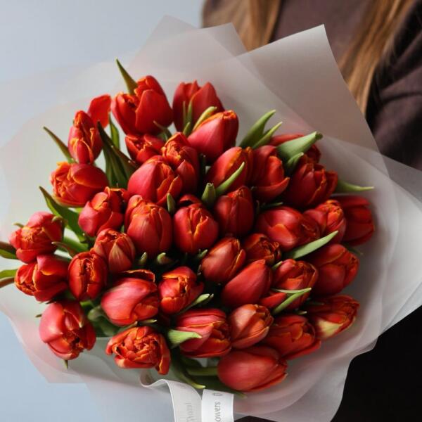 Red Tulips - 49 тюльпанов
