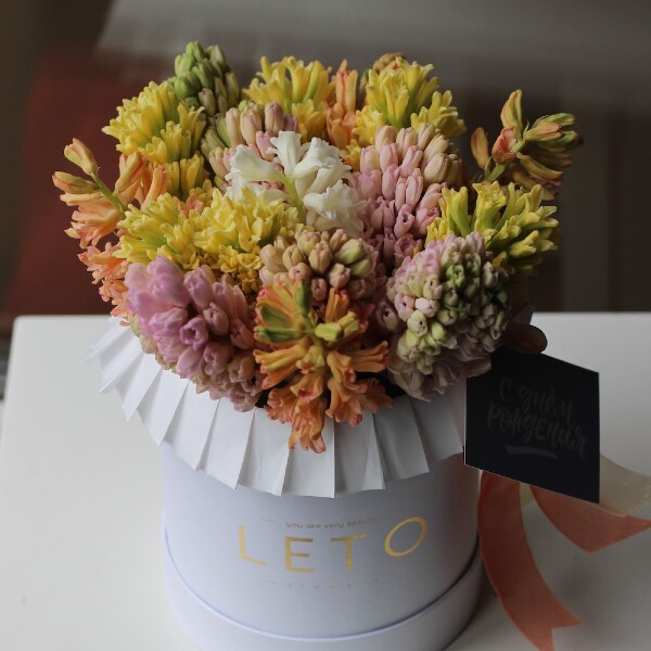 Hyacinthus in hat box - Размер S