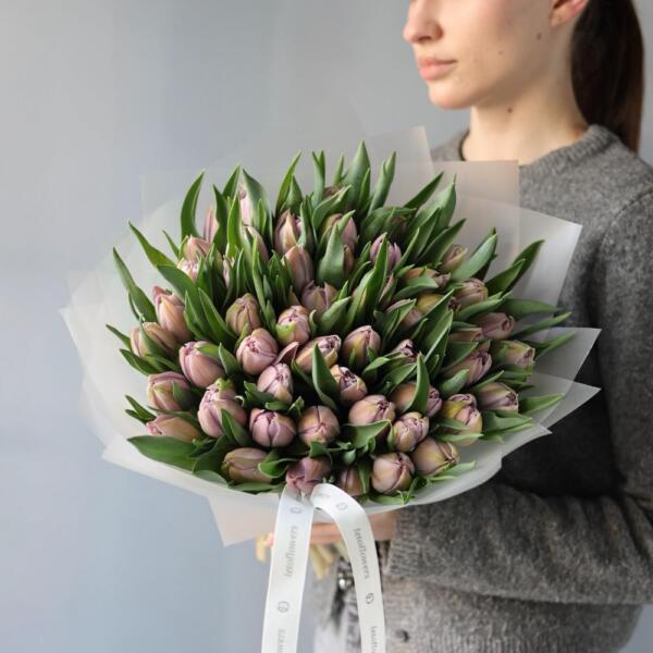 Lilac Tulips - 49 тюльпанов