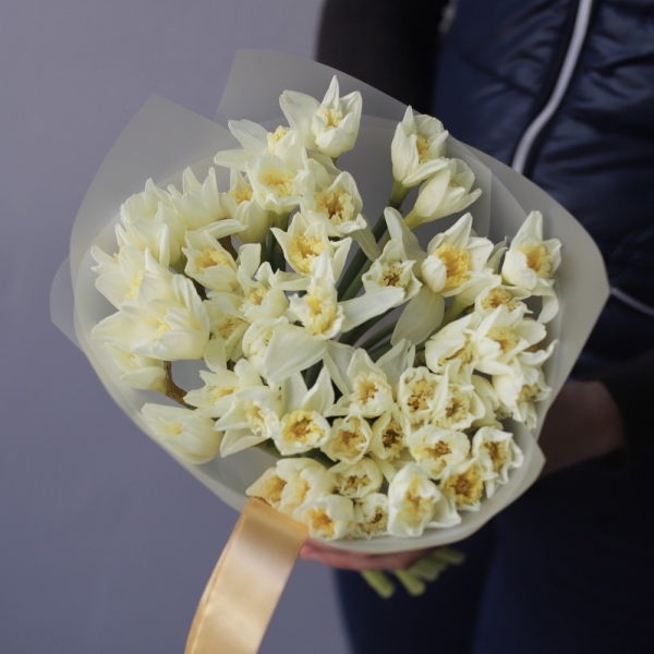 White Daffodils - 49 нарциссов