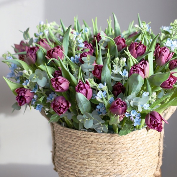 Basket with Tulips and Oxypetalum -  Размер L 