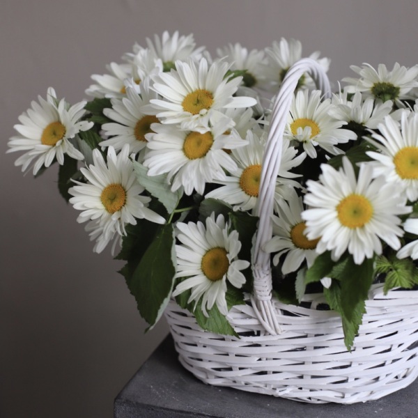 Basket of Daisies - Размер M