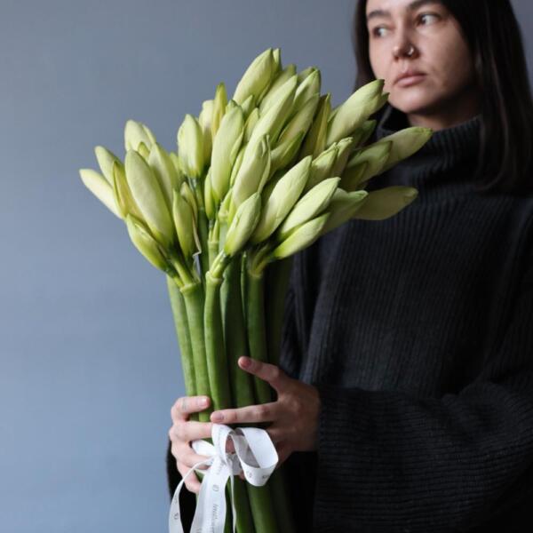 White Amaryllis - 19 амариллисов