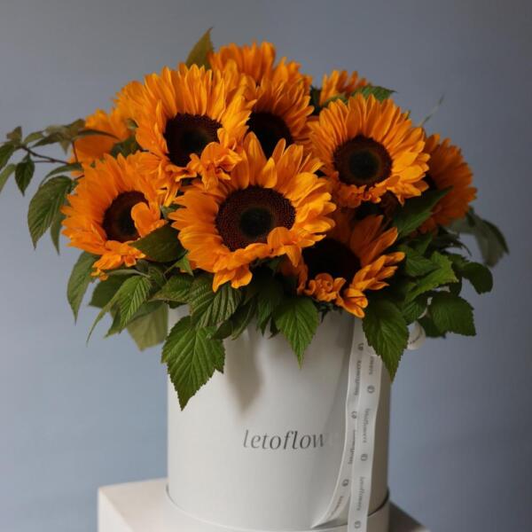Sunflowers in a hat box - Размер M