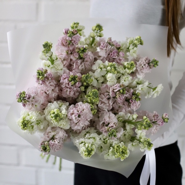 Mixed color Stock -  29 маттиол 
