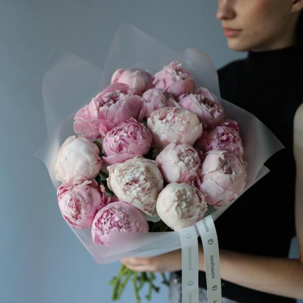 Pink Peony - 15 пионов