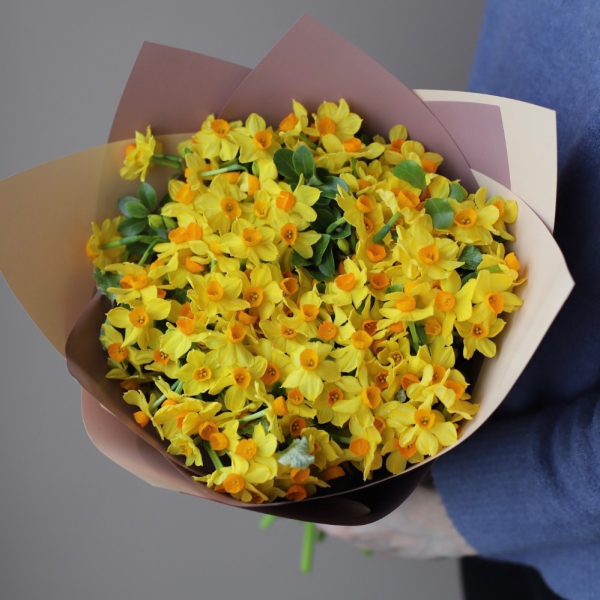 Yellow spray Daffodils - 49 нарциссов