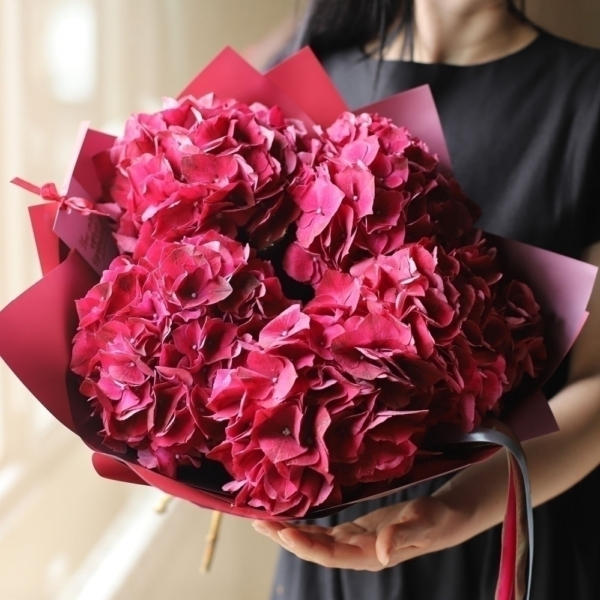 Red Hydrangea - 5 гортензий