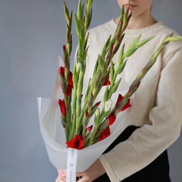 Mixed color Gladiolus - 9 гладиолусов