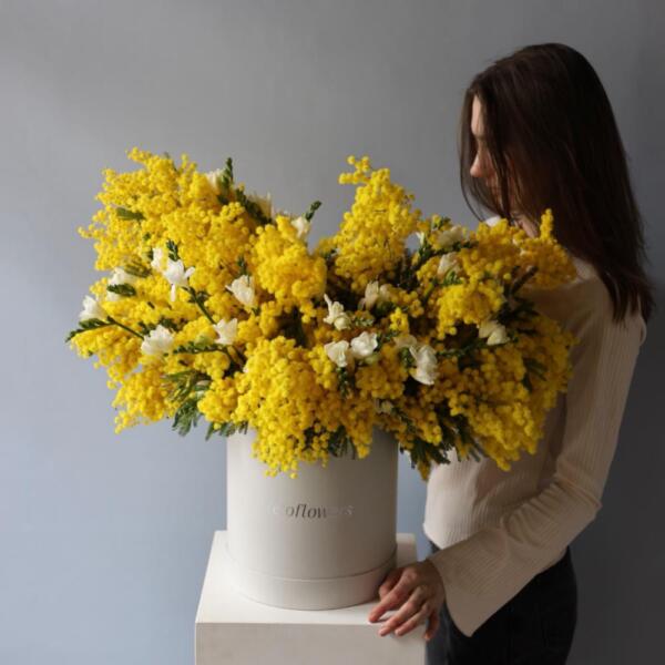 Mimosa with Freesia in a hat box - Размер L