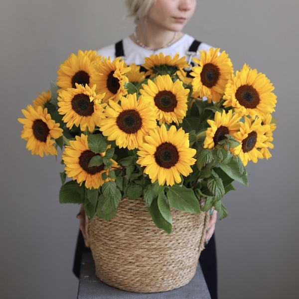 Sunflowers in a basket - Размер M 