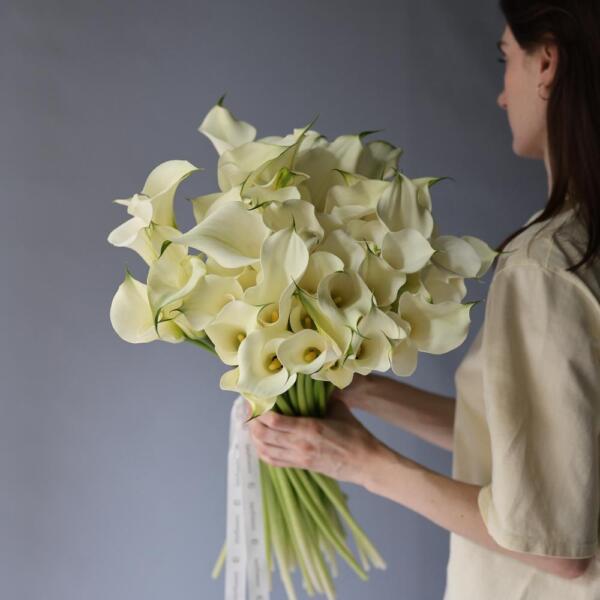 White Calla Lily - 49 калл