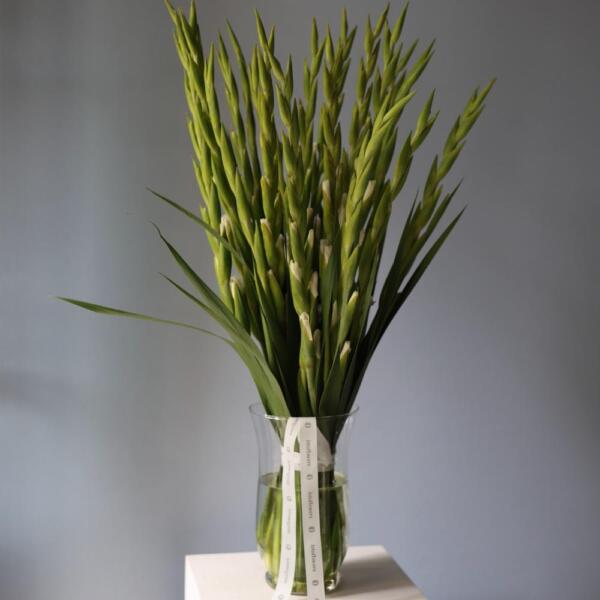 Gladioluses in a vase - 19 гладиолусов