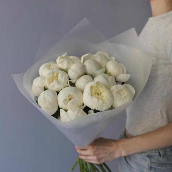 White Peony - 15 пионов