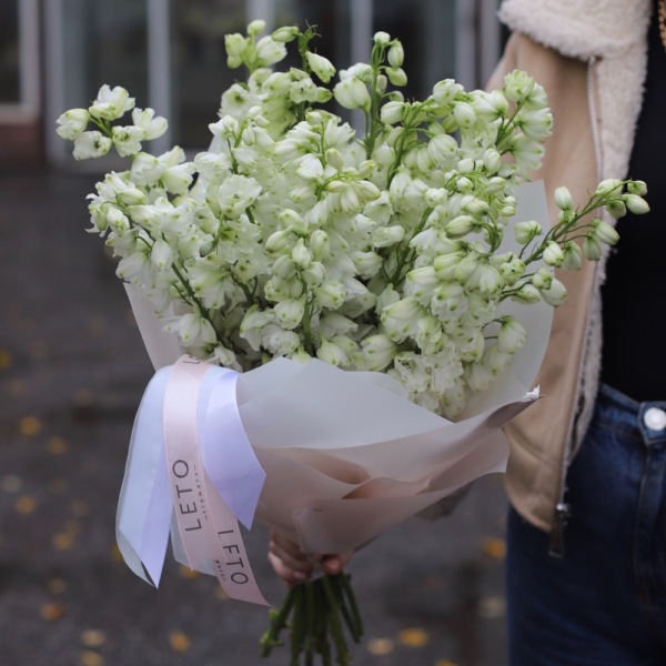White Delphinium - 15 дельфиниумов