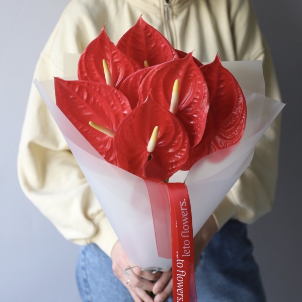 Red Anthurium Red Anthurium -  15 антуриумов