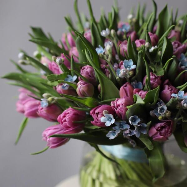 Tulips with Oxypetalum in a vase - Размер L