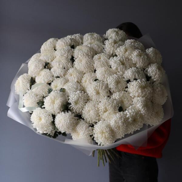 Large white Chrysanthemum - 49 хризантем