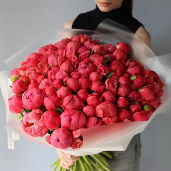 Coral Peony - 75 пионов
