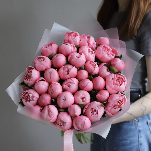 Salmon Peony - 35 пионов