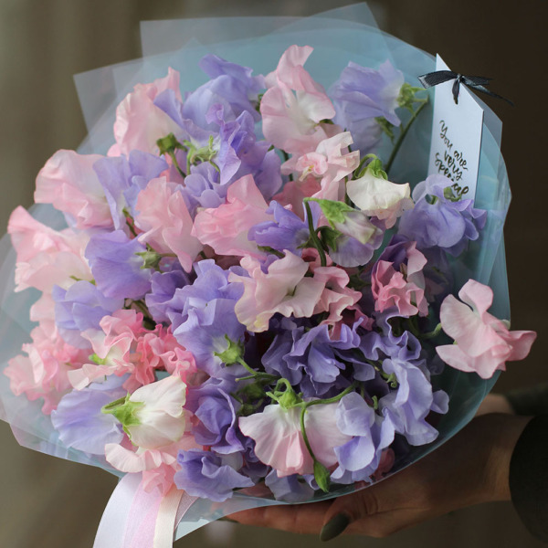 Sweet Pea - 29 душистых горошков