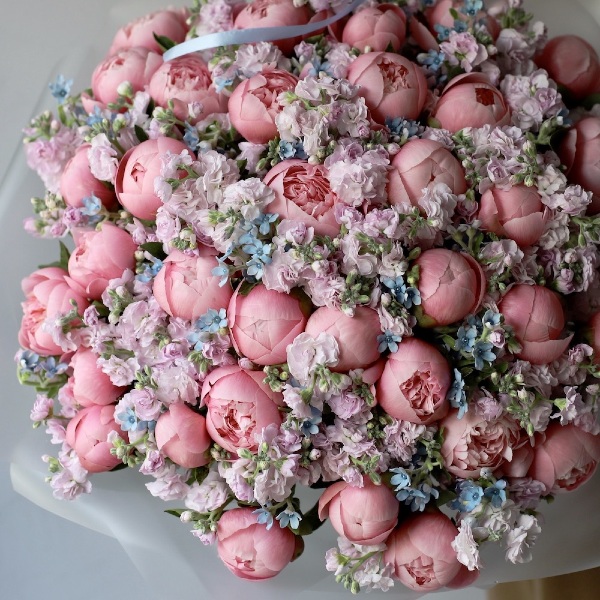 Peonies with Stock and Oxypetalum - Размер XL