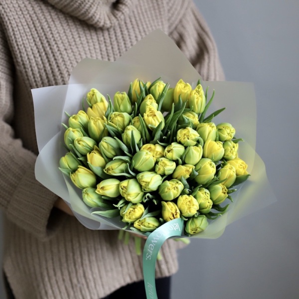 Yellow Tulips - 49 тюльпанов