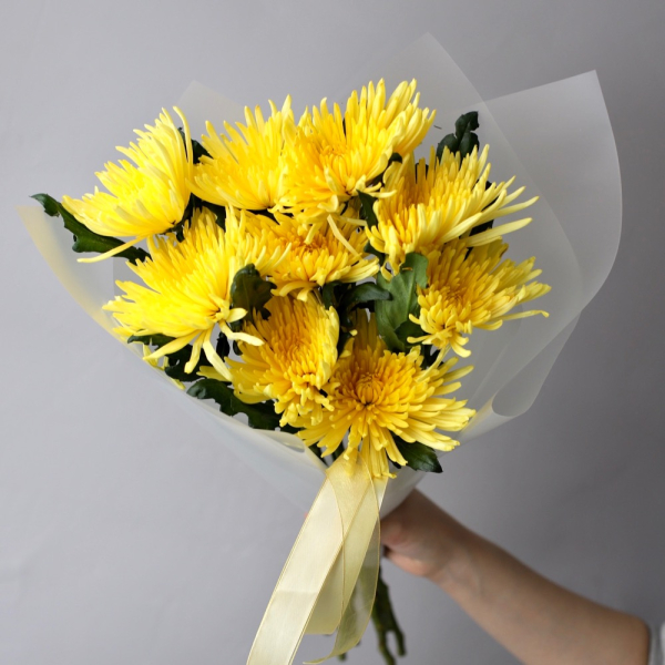 Yellow Chrysanthemum - 9 хризантем 