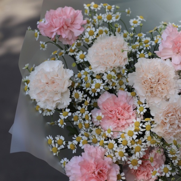 Carnations with Chamomile Carnations with Chamomile