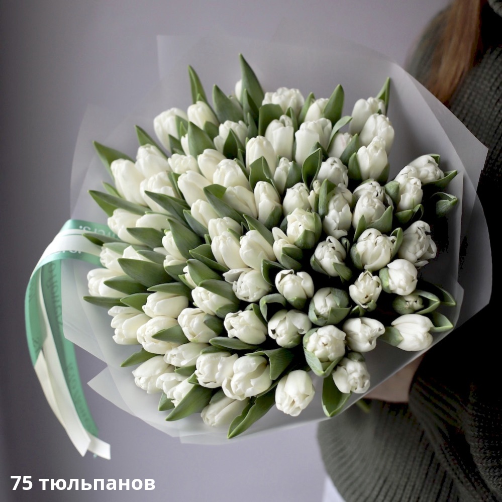 White Tulips White Tulips -  75 тюльпанов