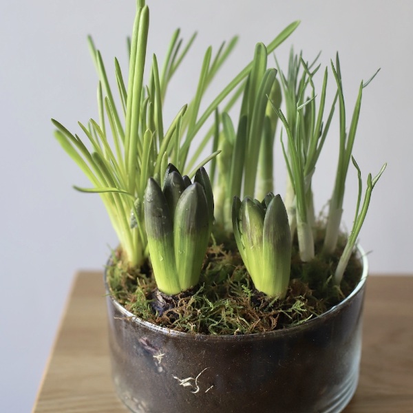 Spring flowers in a vase -  Размер L 