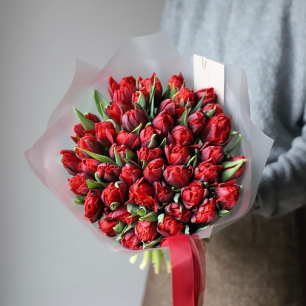 Red Tulips - 49 тюльпанов