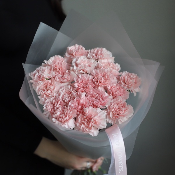 Pink Carnations - 19 гвоздик