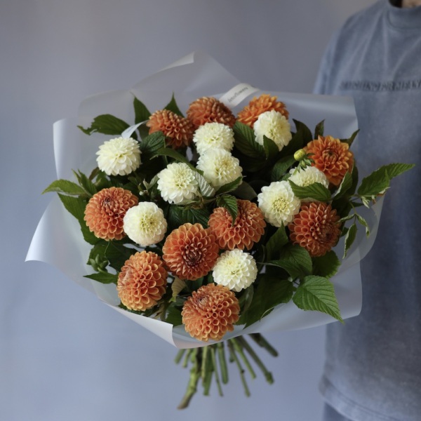 Mixed color Dahlias -   19 георгин с зеленью 