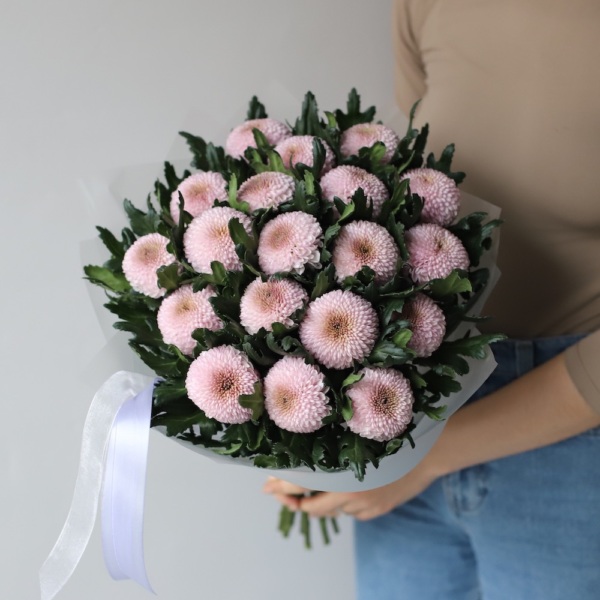 Purple Chrysanthemum - 19 хризантем