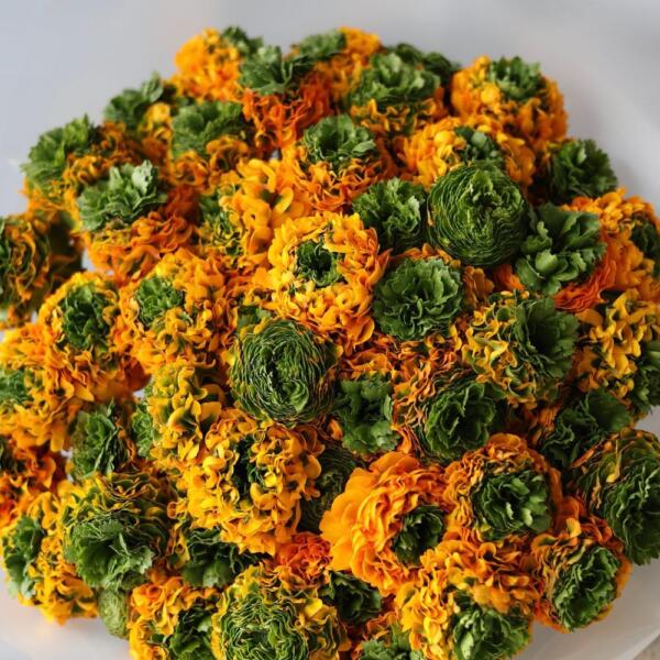 Orange Ranunculus - 49 ранункулюсов